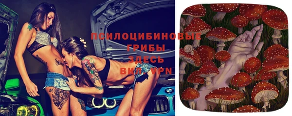 альфа пвп Беломорск