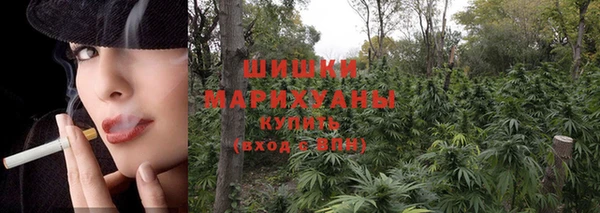 прущие крисы Баксан