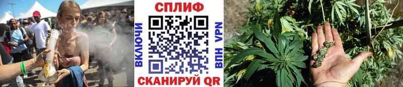 Бошки Шишки OG Kush  Новотитаровская 